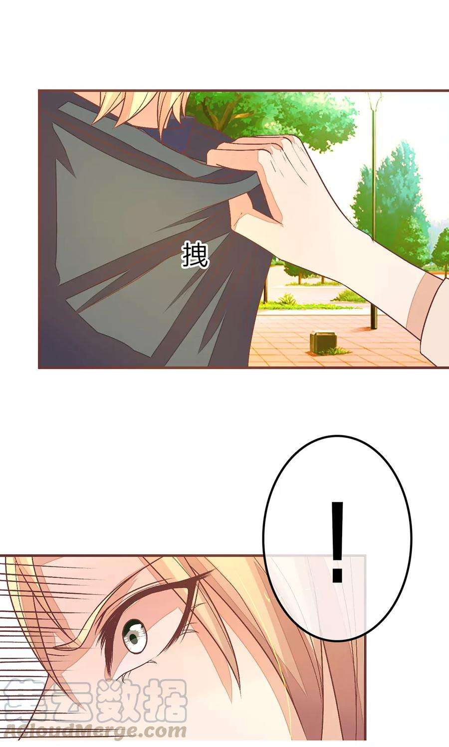 11.jpg