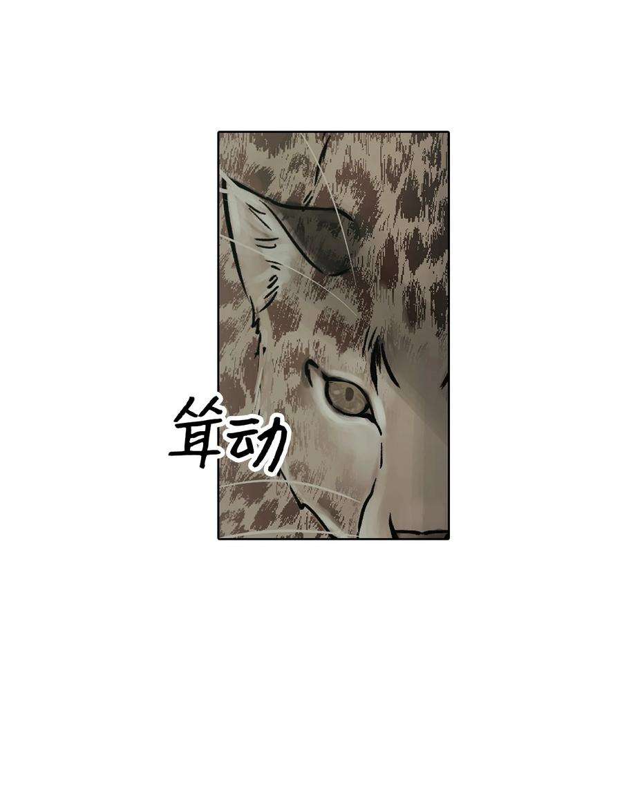 27.jpg