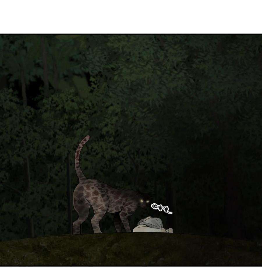 48.jpg