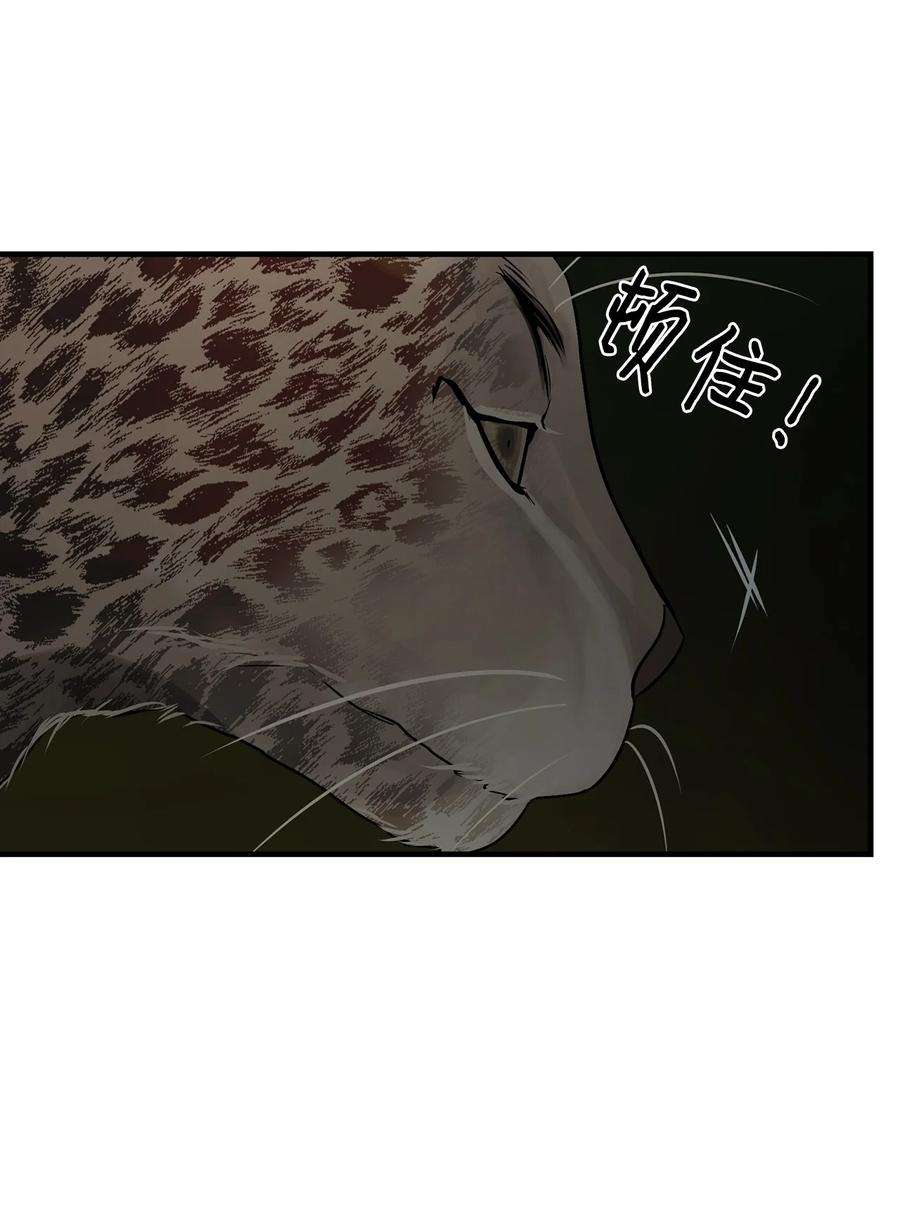 47.jpg
