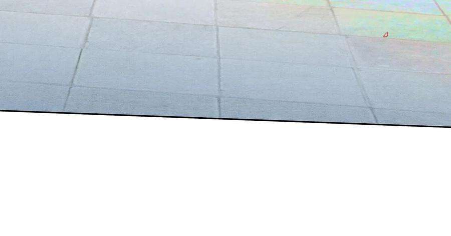 88.jpg