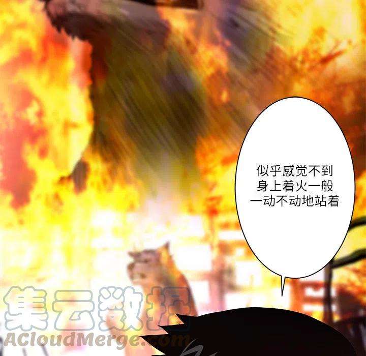 56.jpg