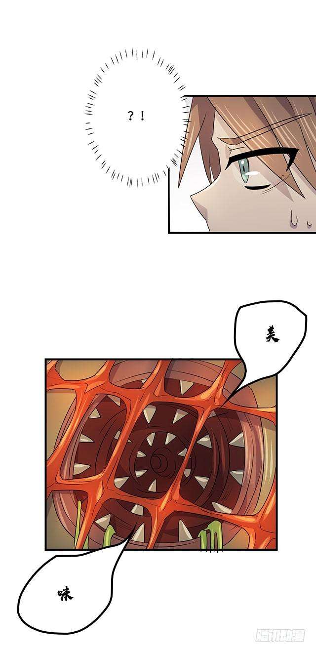16.jpg