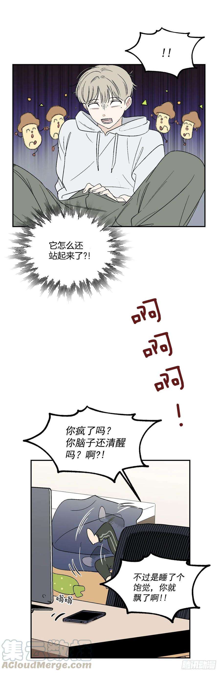 25.jpg