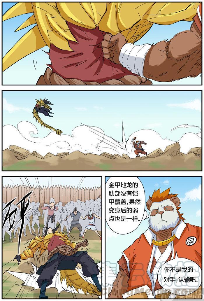 5.jpg