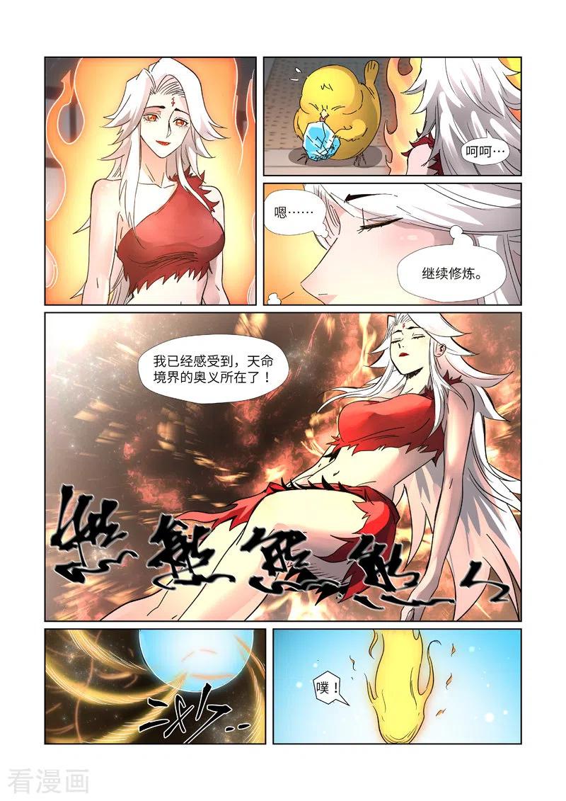 8.jpg