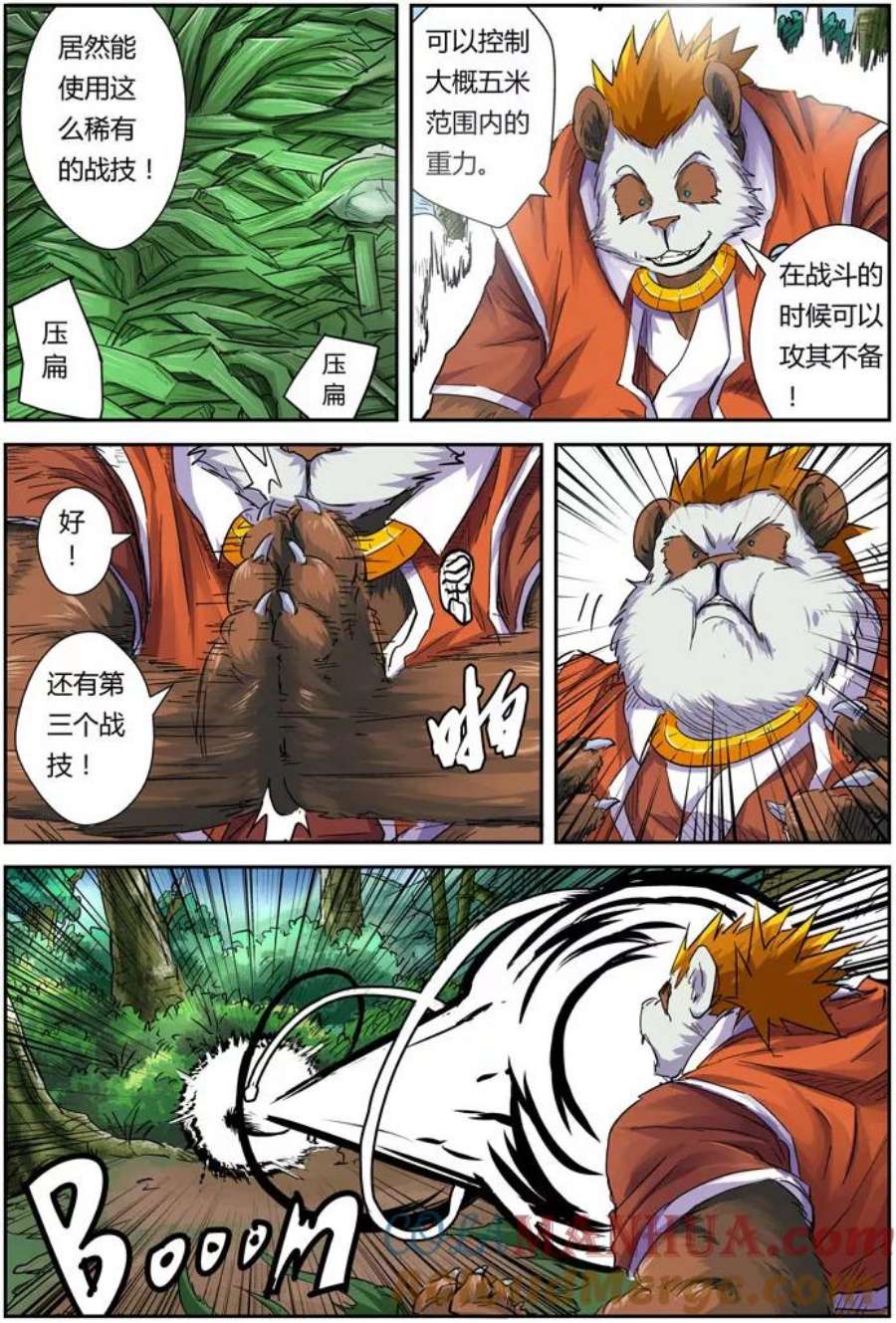 11.jpg