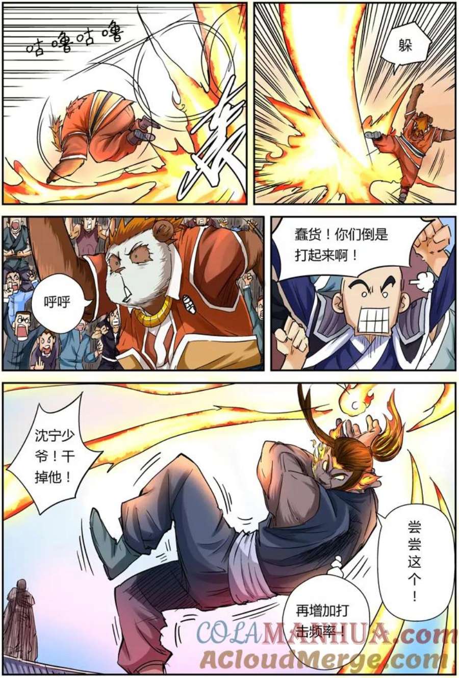 17.jpg