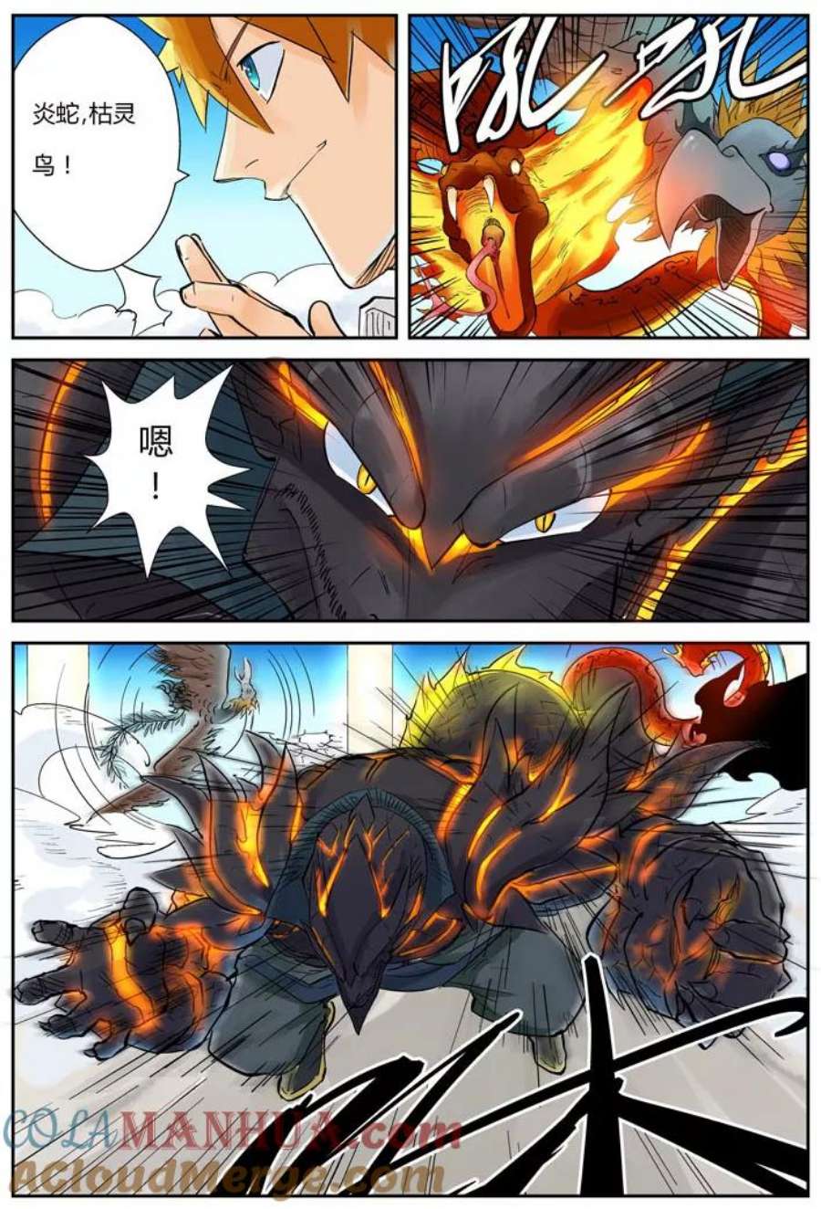4.jpg