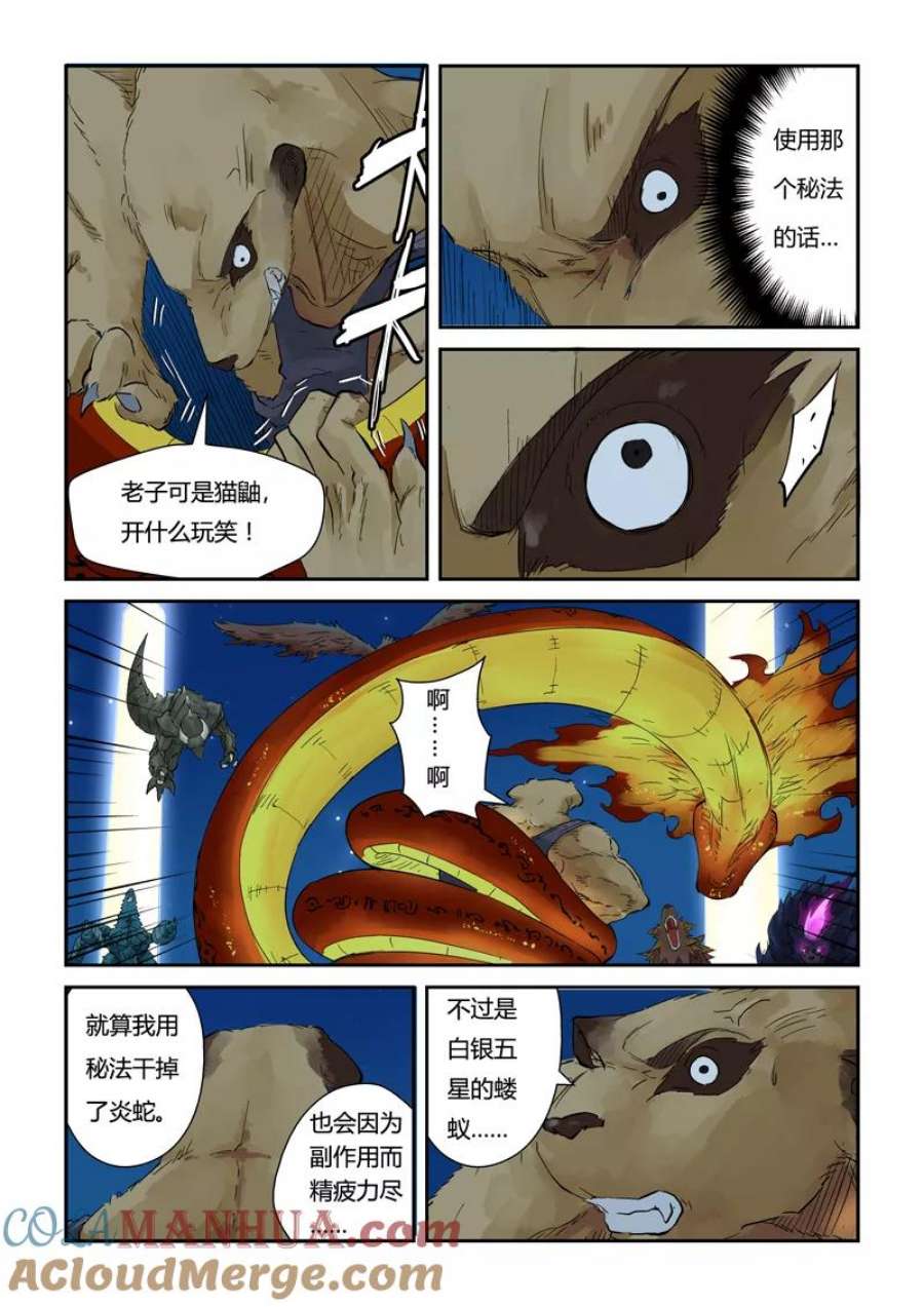 5.jpg