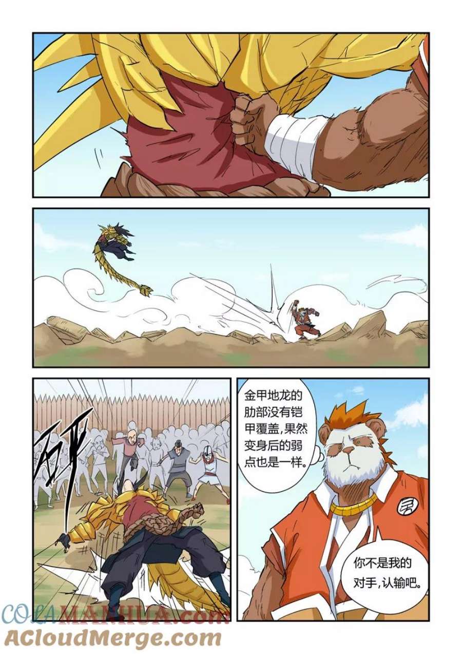 5.jpg