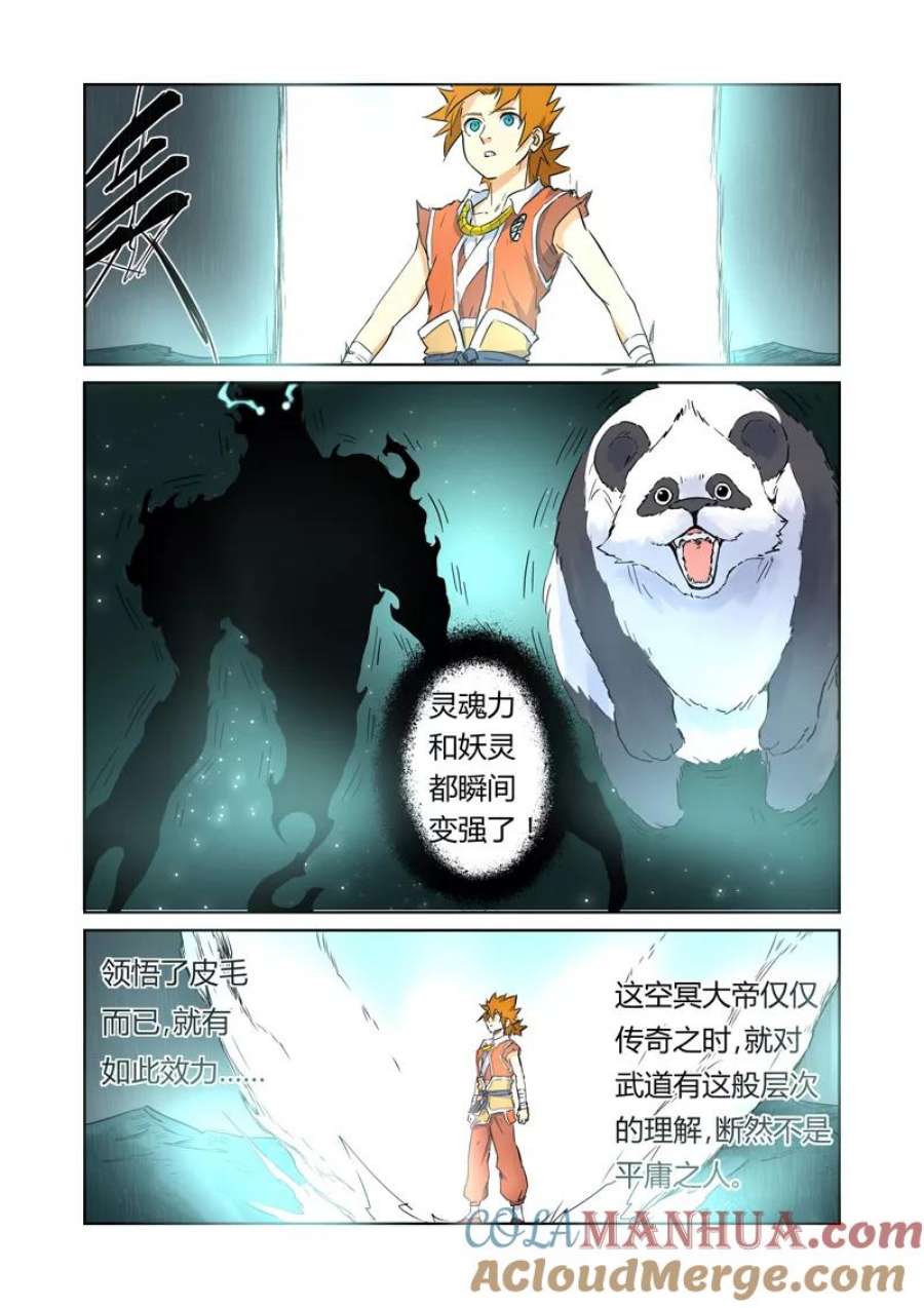 5.jpg