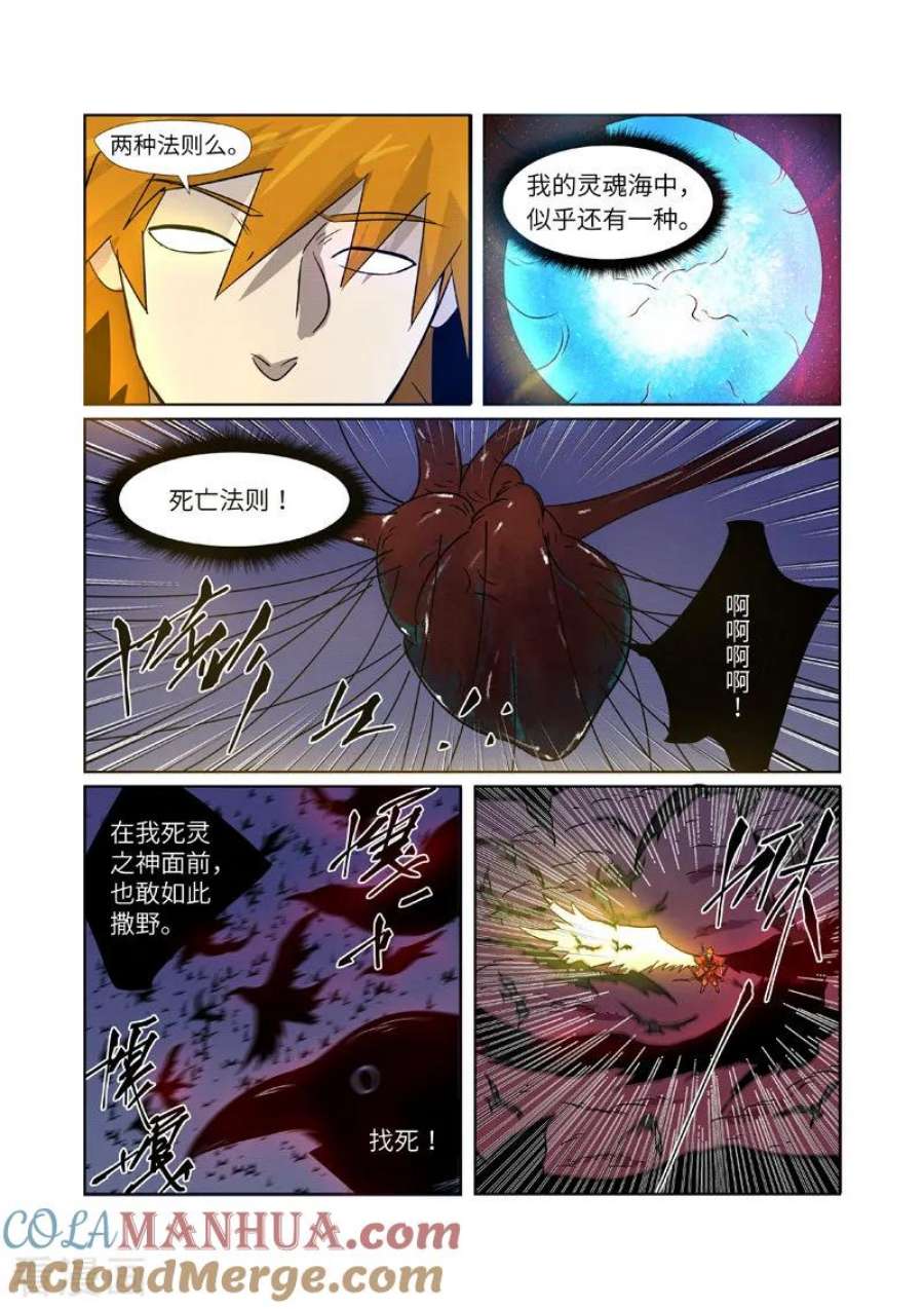 6.jpg