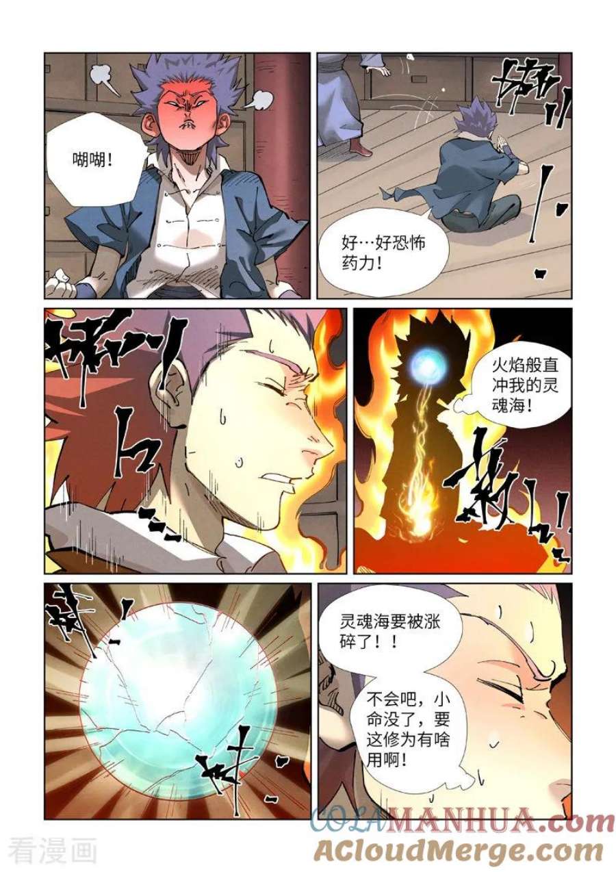 6.jpg