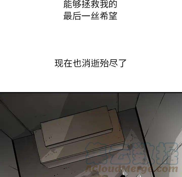53.jpg