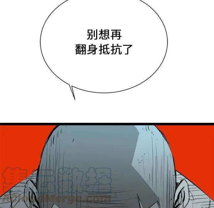 113.jpg