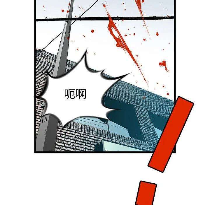 95.jpg