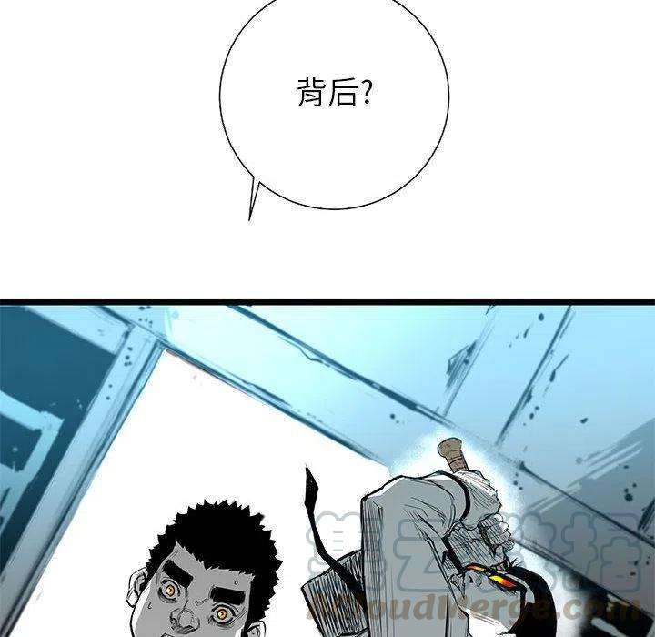 133.jpg