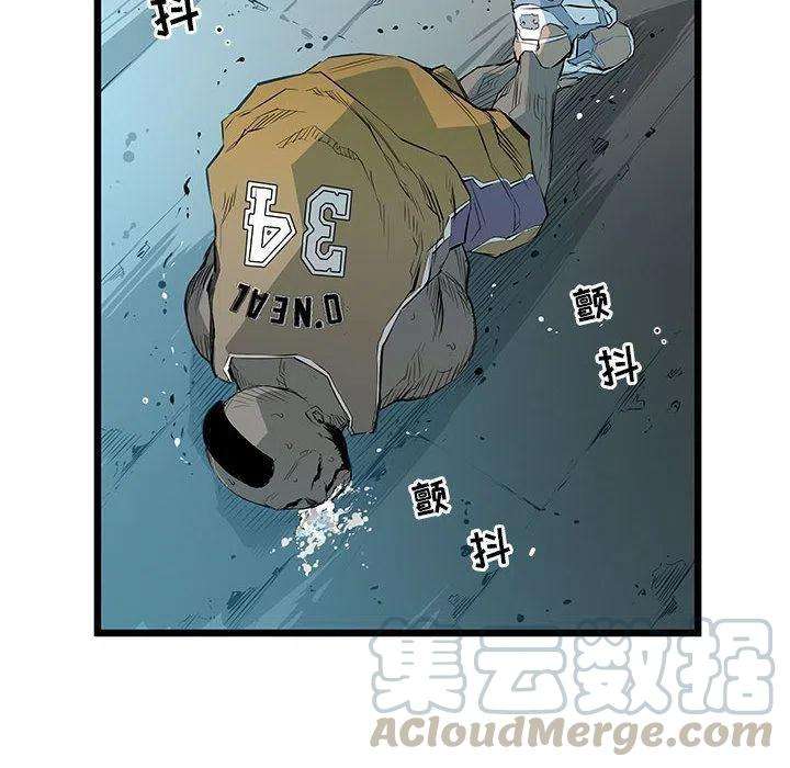 81.jpg