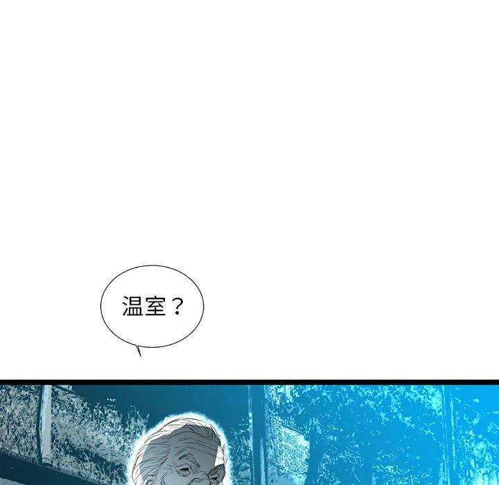 88.jpg