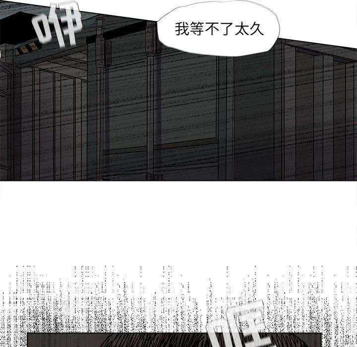 48.jpg