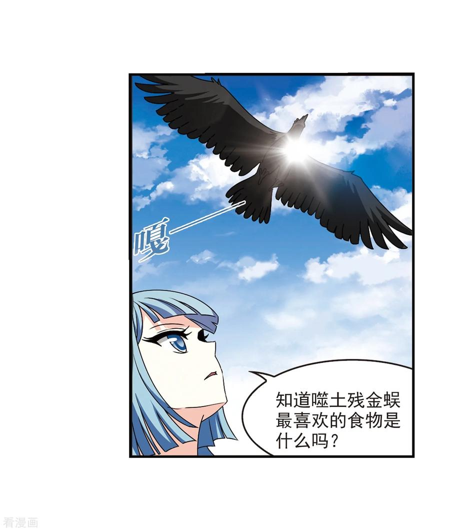 19.jpg