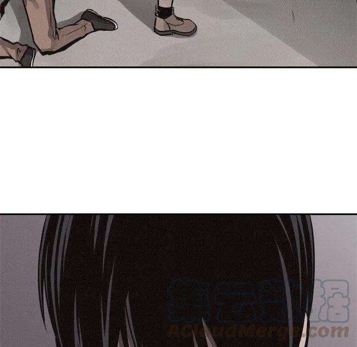 97.jpg