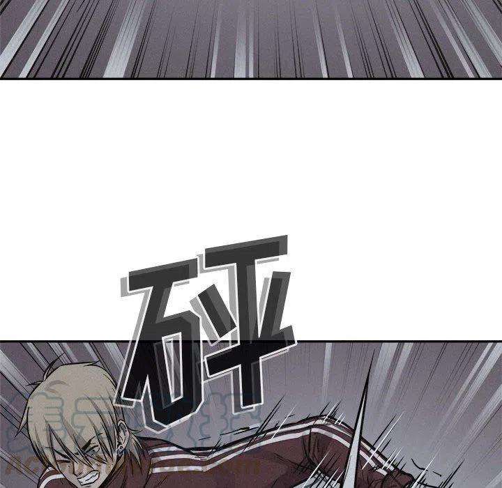81.jpg