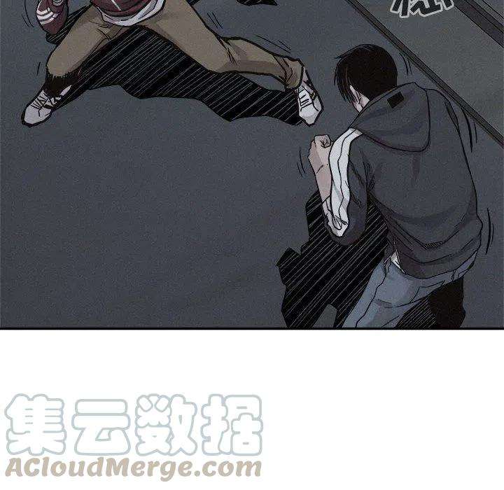 81.jpg