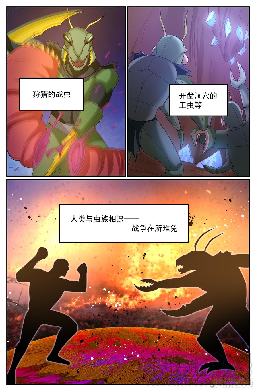 13.jpg