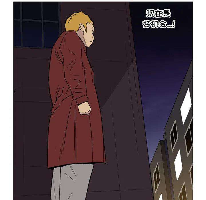 55.jpg