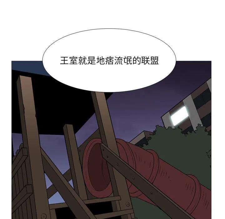 41.jpg