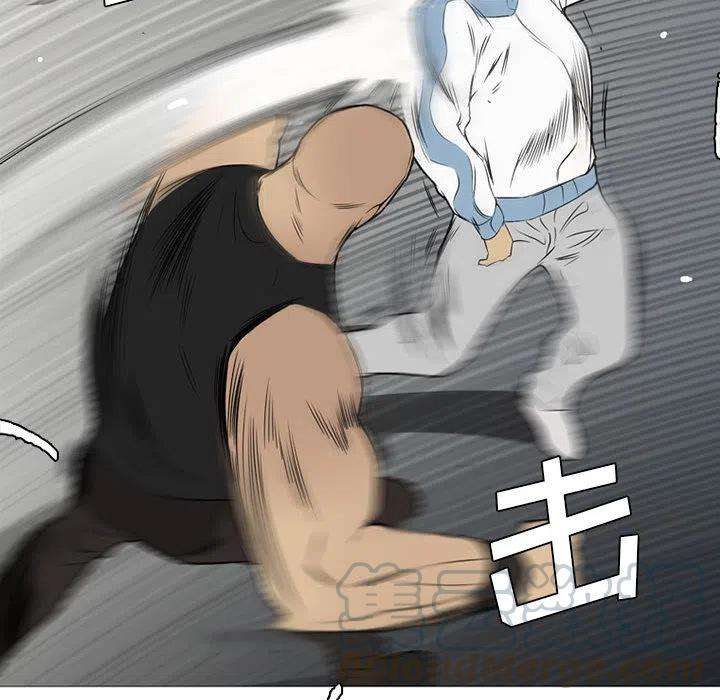 41.jpg
