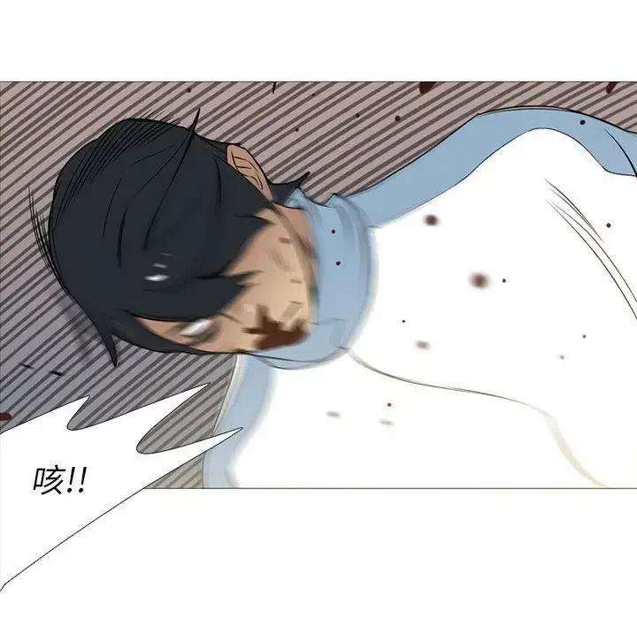 50.jpg