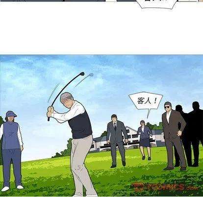 31.jpg