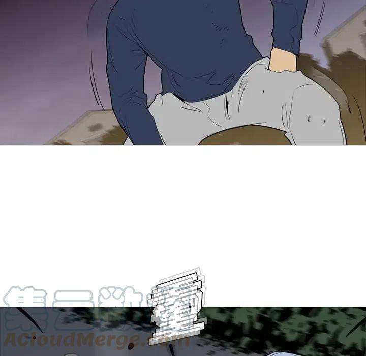 41.jpg