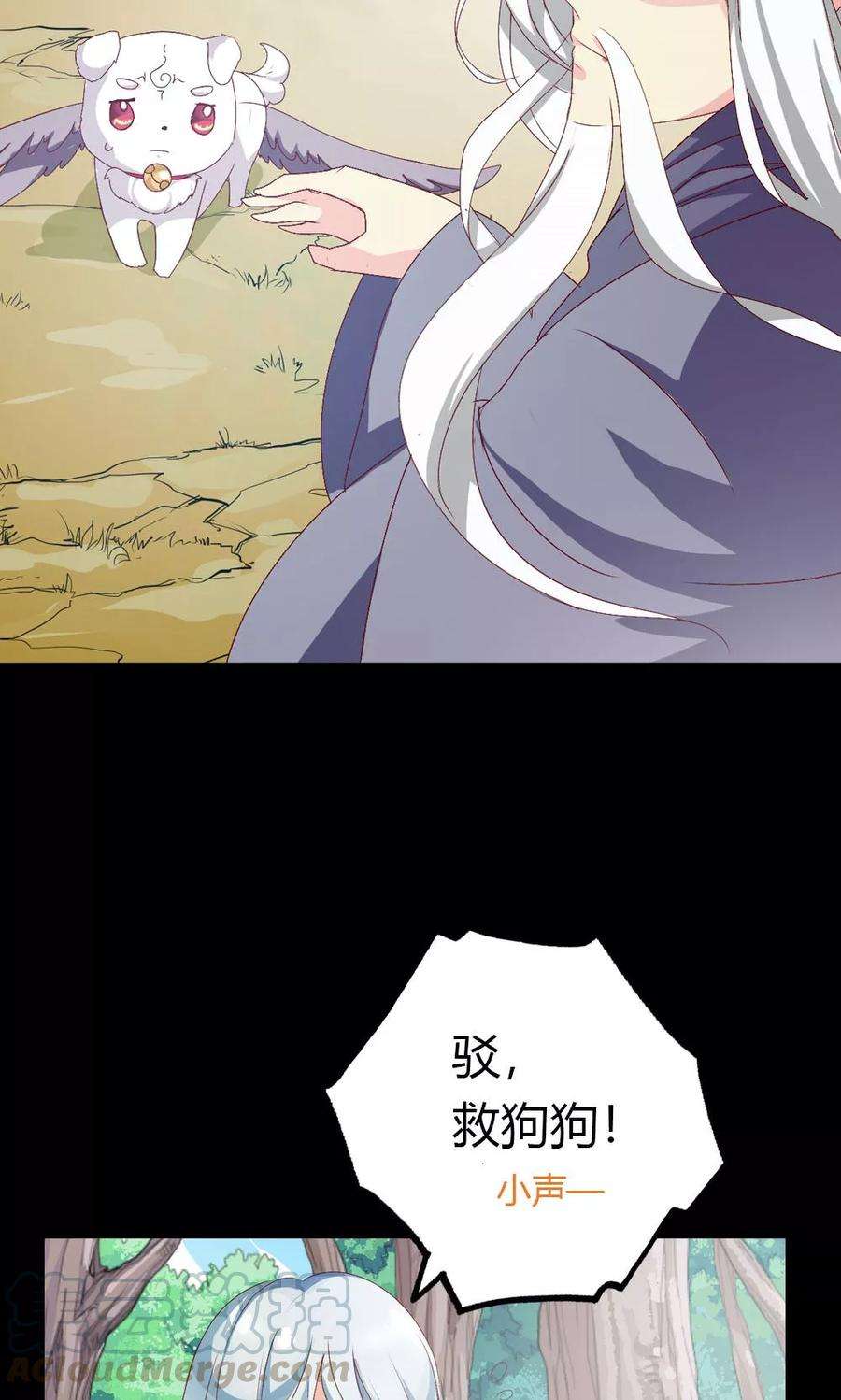 29.jpg