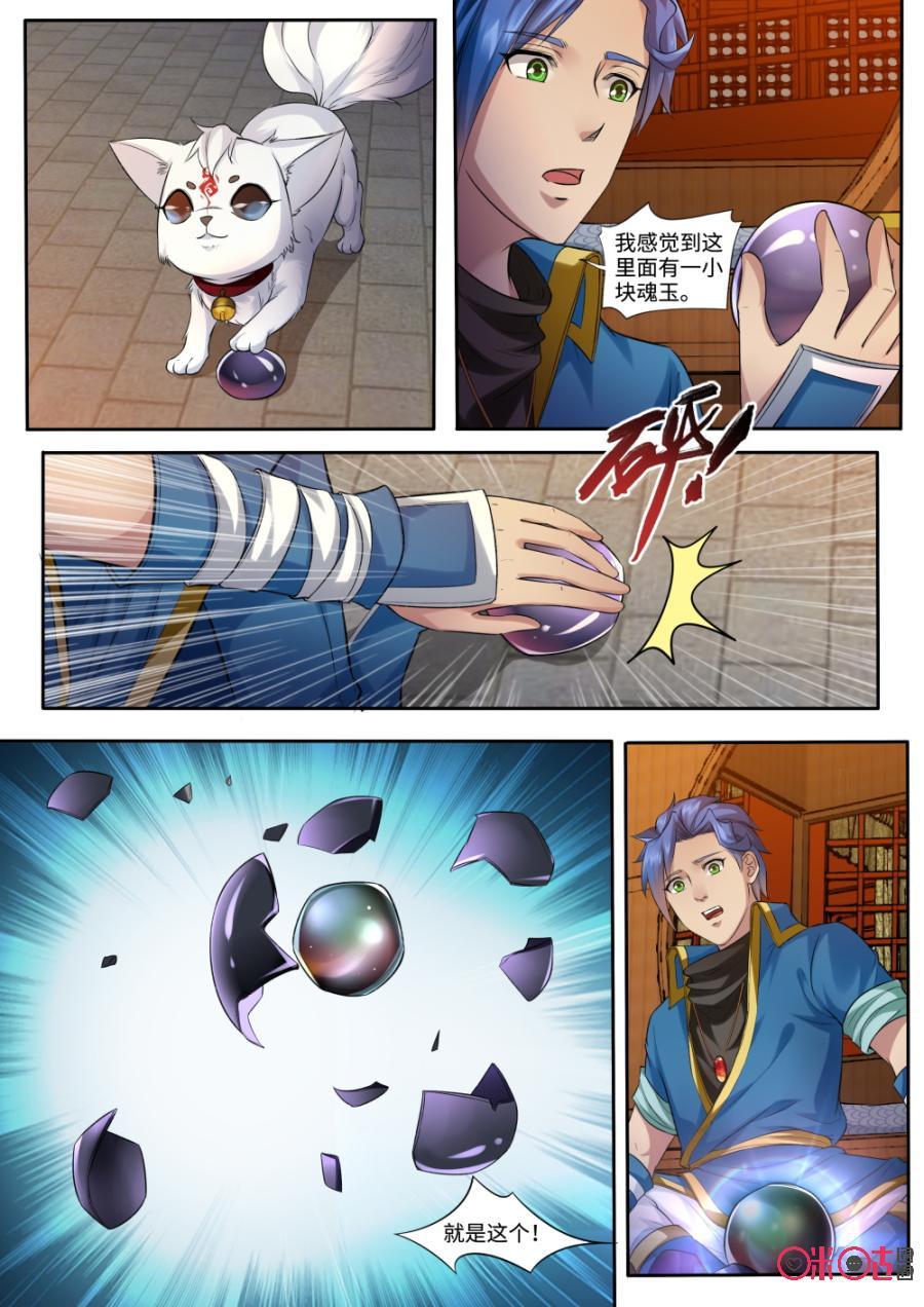 5.jpg