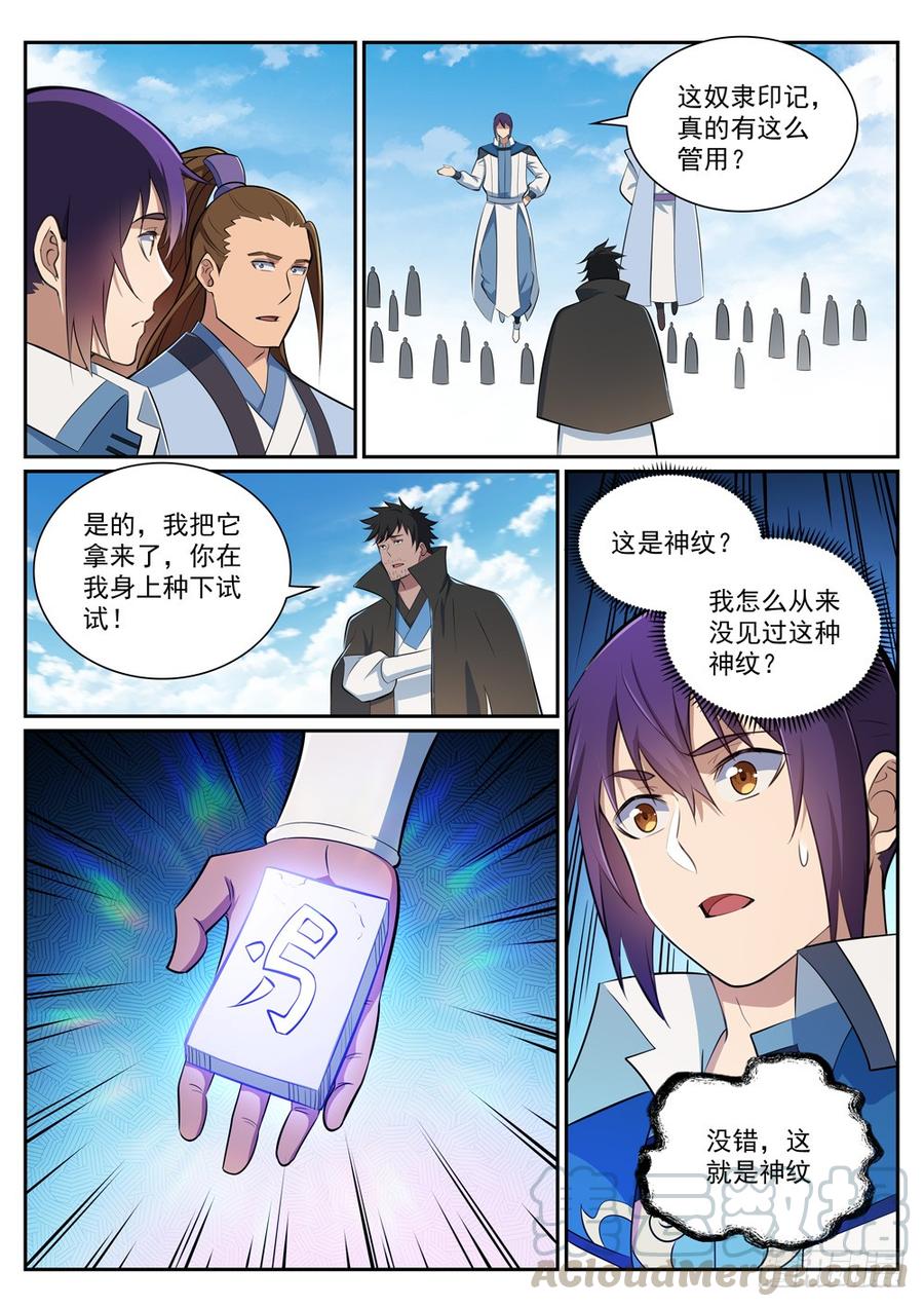 11.jpg