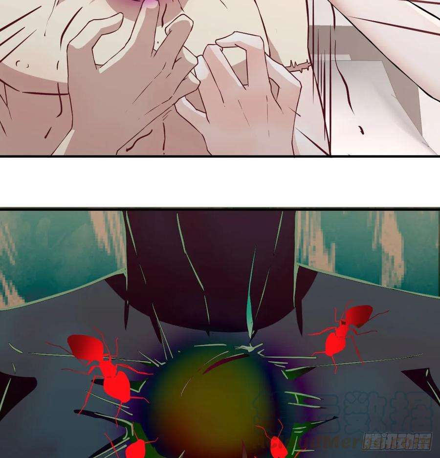 73.jpg