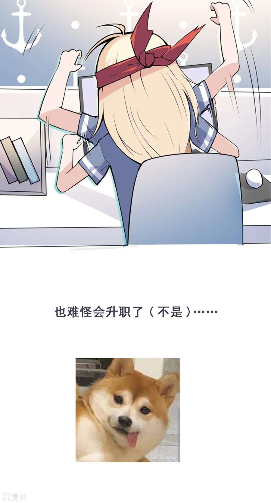 41.jpg