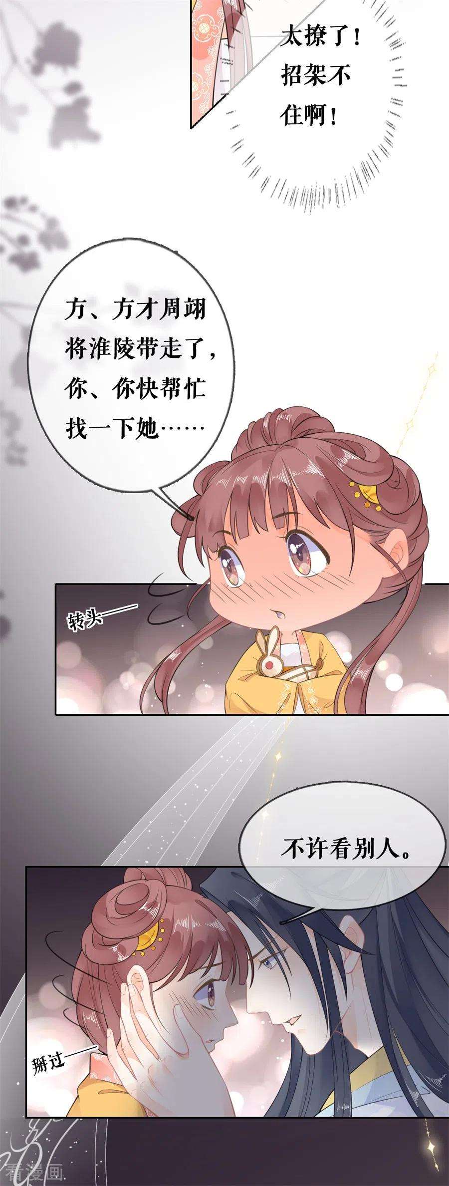 11.jpg