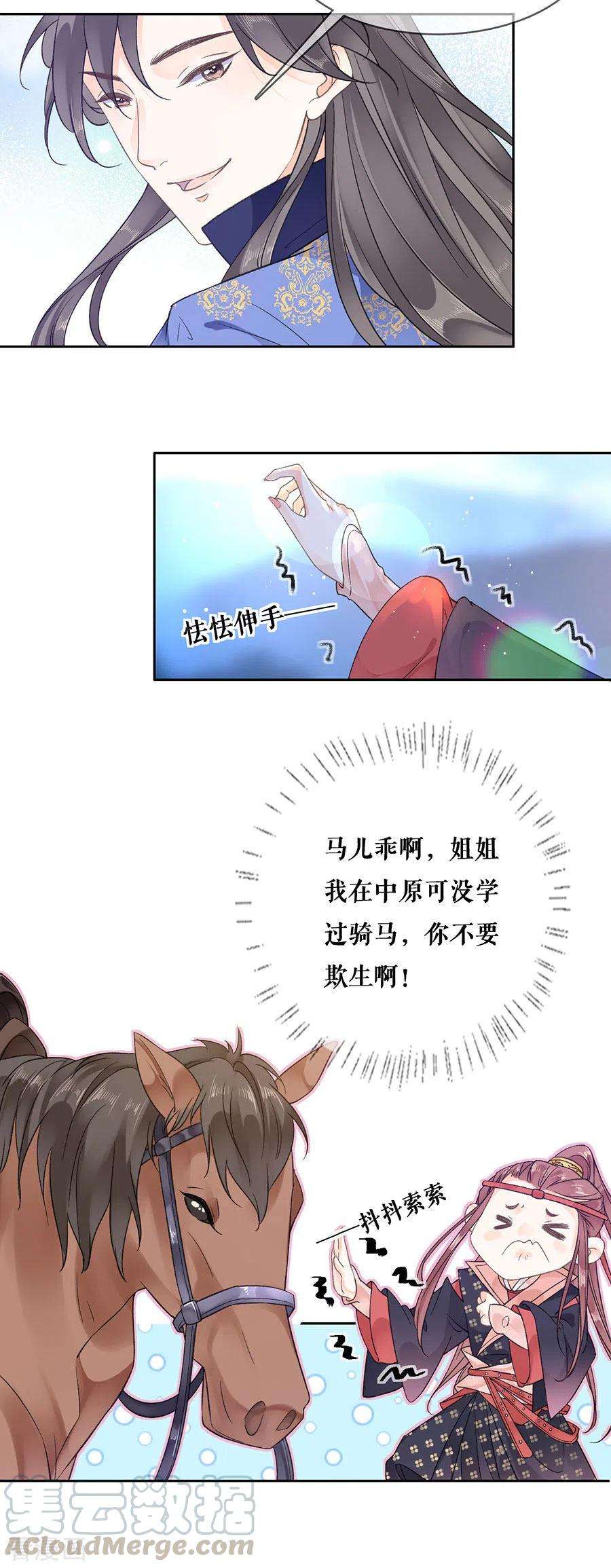 11.jpg