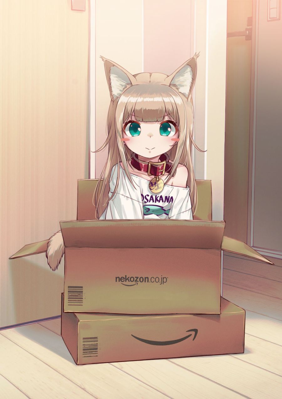 20.jpg