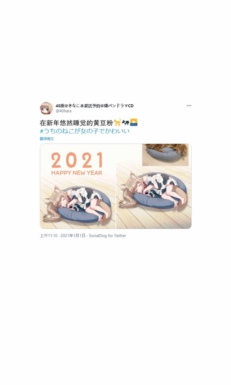 12.jpg