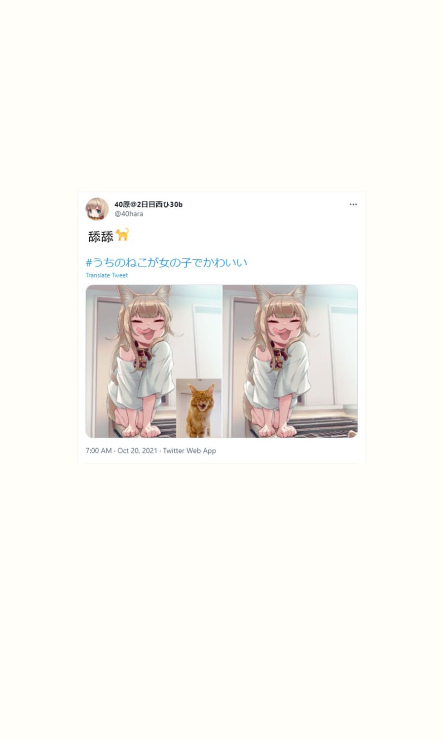 35.jpg