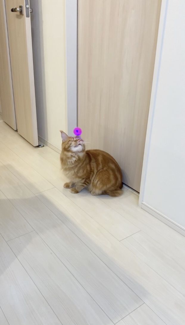 31.jpg