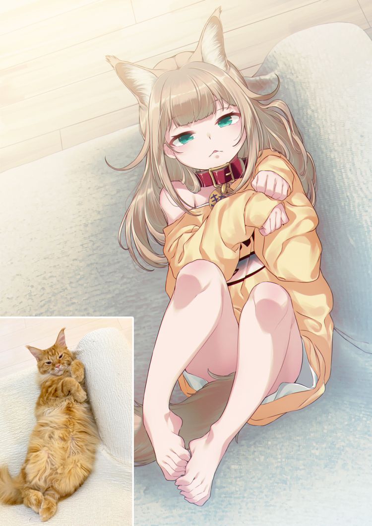 46.jpg