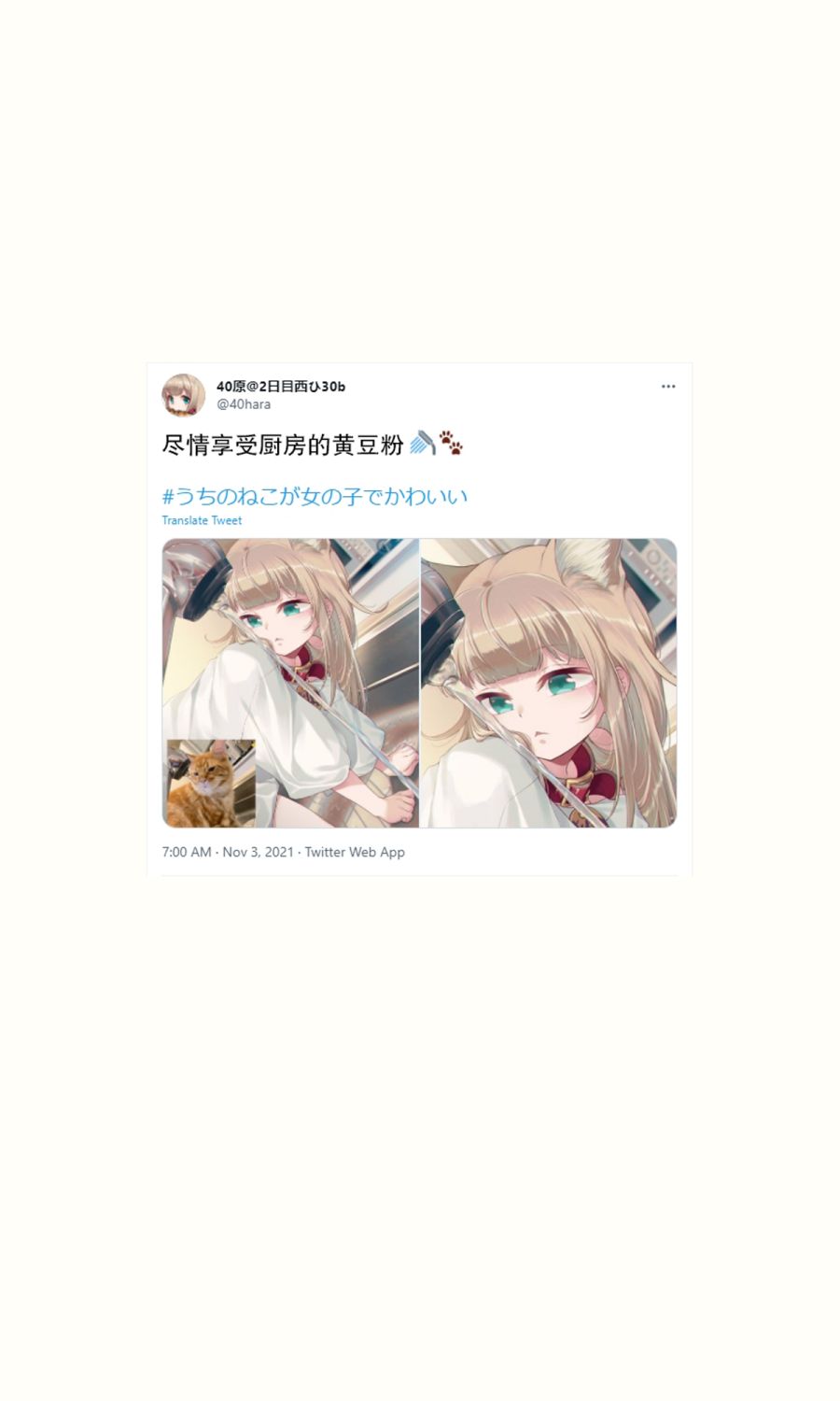 41.jpg