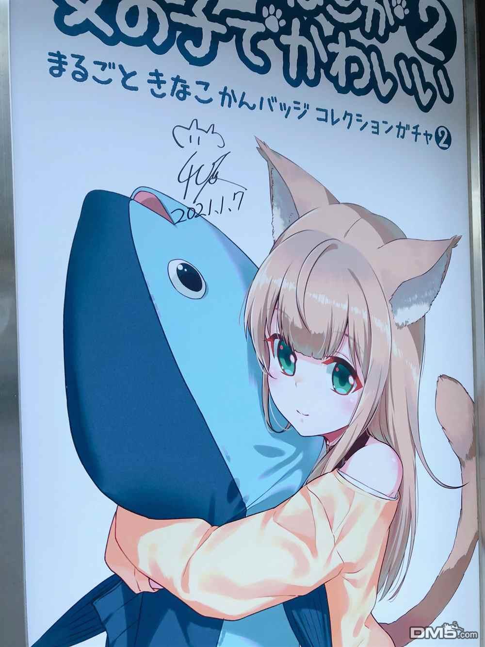14.jpg